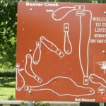 FrisbeeGolf