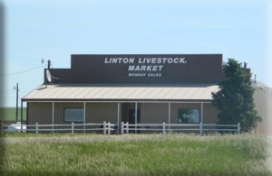 Linton Livestock