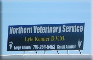 Northern Veterinary Services